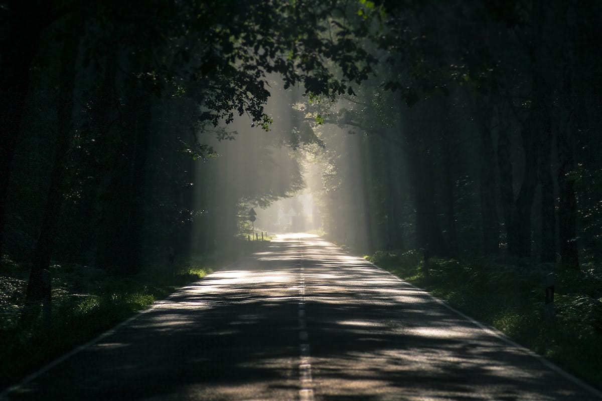 Forest road representing personal change and life coaching